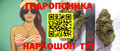 мяу мяу кристалл Заводоуковск