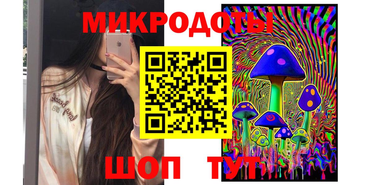 где найти наркотики  Вход с VPN  Зерноград  Псилоцибиновые грибы мицелий 