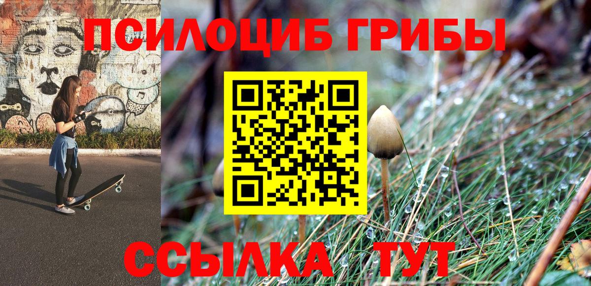 Галлюциногенные грибы Psilocybine cubensis Зерноград